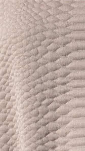 Mocha Reptile Knit Jacquard Fabric By Style Arc - Reptile Knit Jacquard Fabric in Mocha